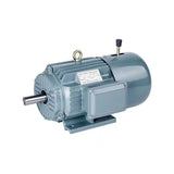 YEJ series electromagnetic braking three-phase asynchronous motor