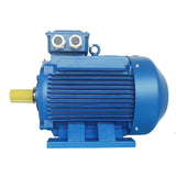 YE4 series ultra-high efficiency three-phase asynchronous motor