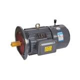 YEJ series electromagnetic braking three-phase asynchronous motor