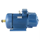 YZ (YZR) series three-phase asynchronous motors for lifting and metallurgical purposes